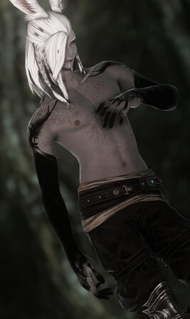 Tattoo / Scar Commission